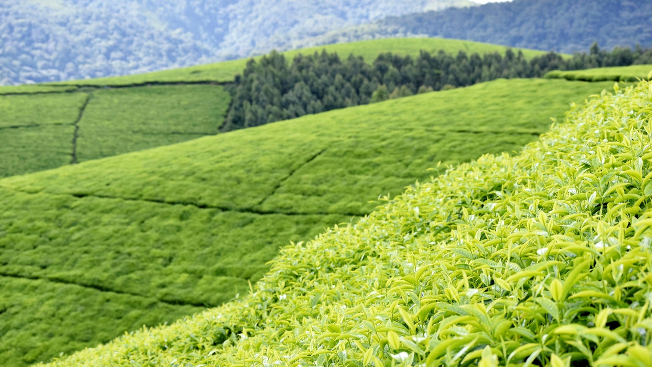 Bujumbura lakeside port and a regional transport corridor