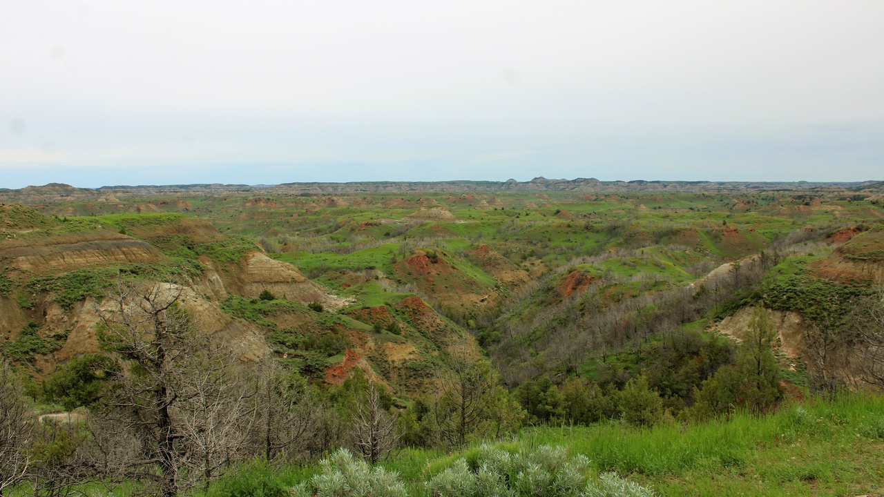 Theodore Roosevelt National Park badlands overlook with prairie in the foreground