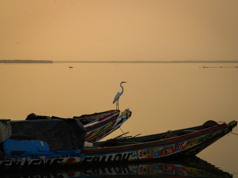 Senegal River