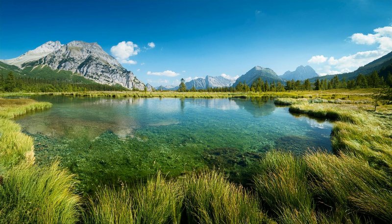 Breathtaking view of a clear alpine lake reflecting majestic mountains and lush greenery.