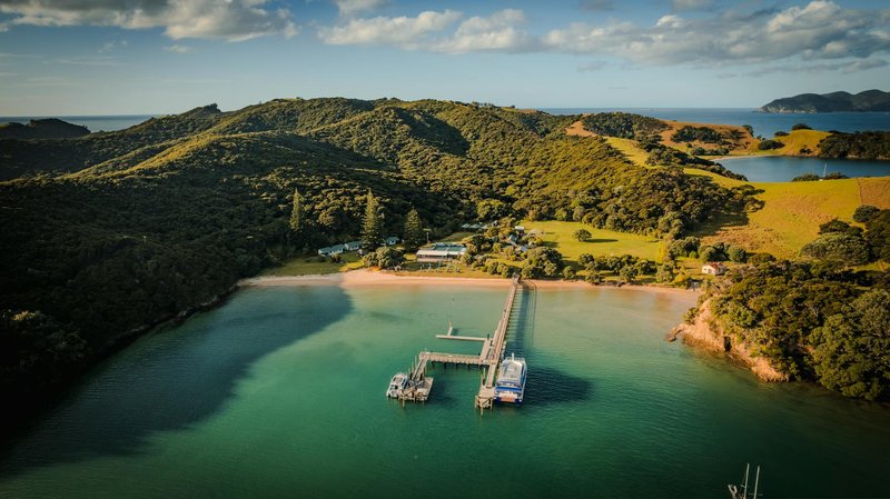 A scenic aerial view of a pier extending into turquoise waters in Northland, New Zealand, surrounded by lush greenery.