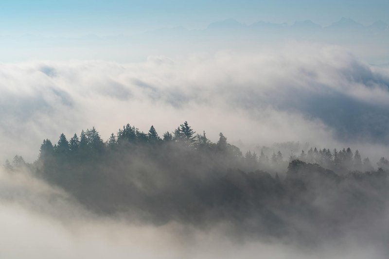 Tranquil view of mist-covered hills and forest at dawn, creating a serene atmospheric landscape.