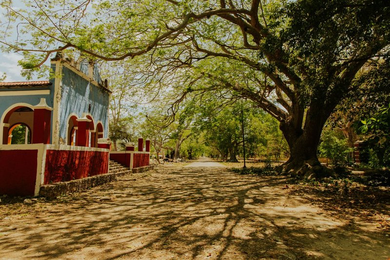 Vibrant blue and red building surrounded by lush trees casting shadows on a sunny path.
