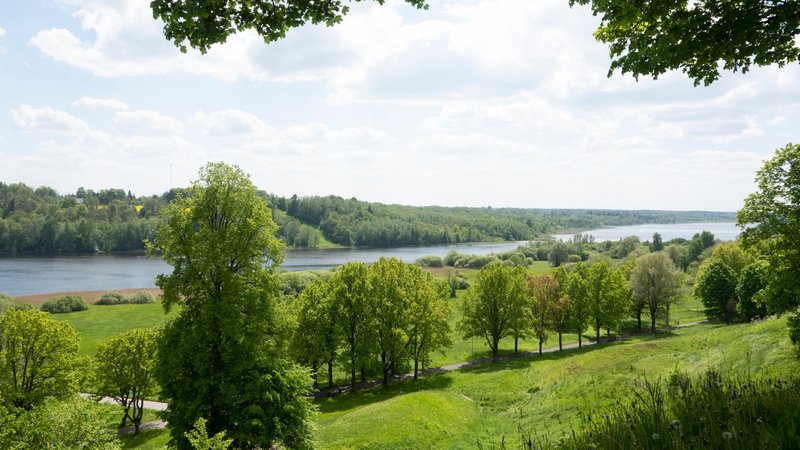 Tranquil summer view of a lush landscape with river and forest.
