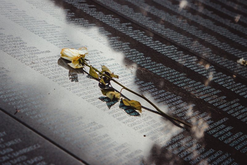 A white rose placed on a reflective memorial wall listing names, conveying remembrance.