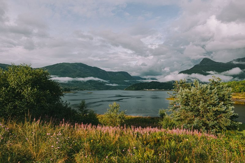 Green grass and bushes growing on coast against lake water and mountain ridge on overcast day in countryside
