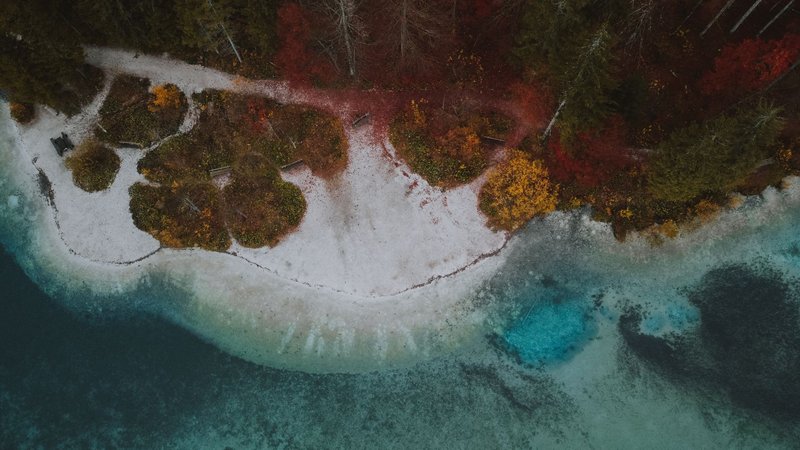 Stunning aerial photograph capturing autumn foliage along a serene lakeshore.