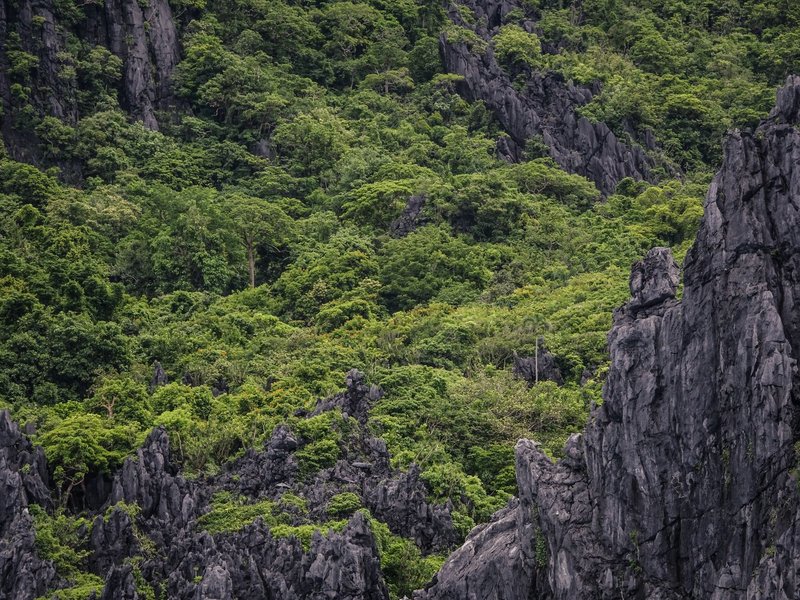 Explore the vibrant greenery and dramatic limestone cliffs of El Nido, Philippines.