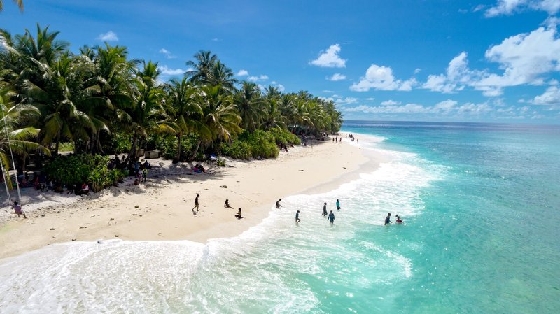 Stunning aerial view of a tropical beach with palm trees, clear water, and people enjoying the sunny day.