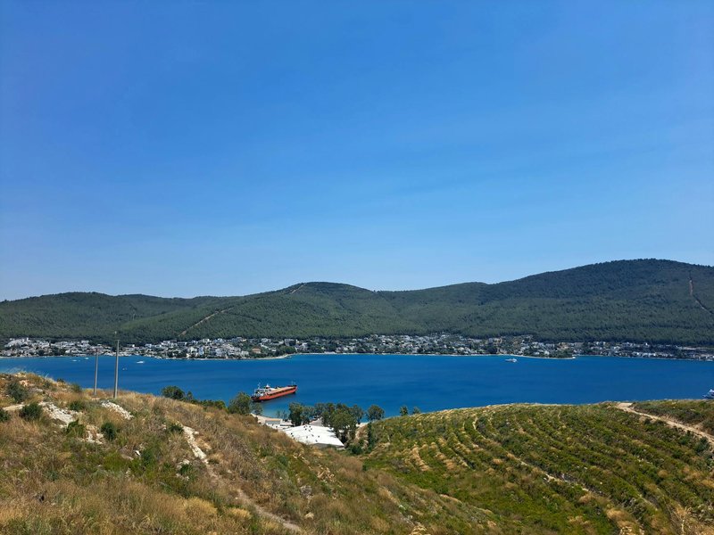Tranquil view of a coastal bay with lush hills, clear blue sky, and a ship anchored.