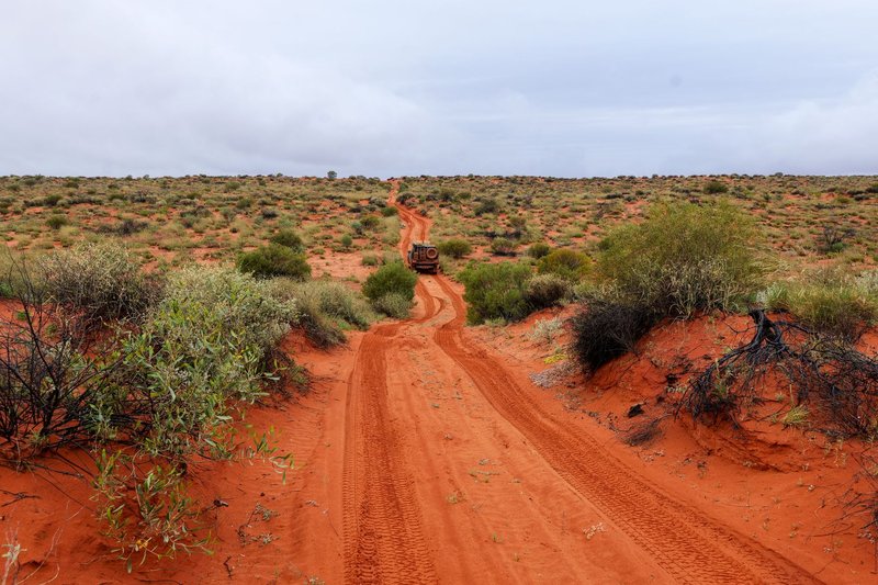 Explore the rugged beauty of the Australian desert with an off-road adventure vehicle on a red dirt track.