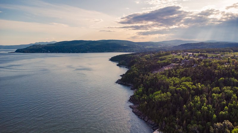 Stunning aerial shot of La Malbaie's lush forest and serene coastline in Quebec, Canada.