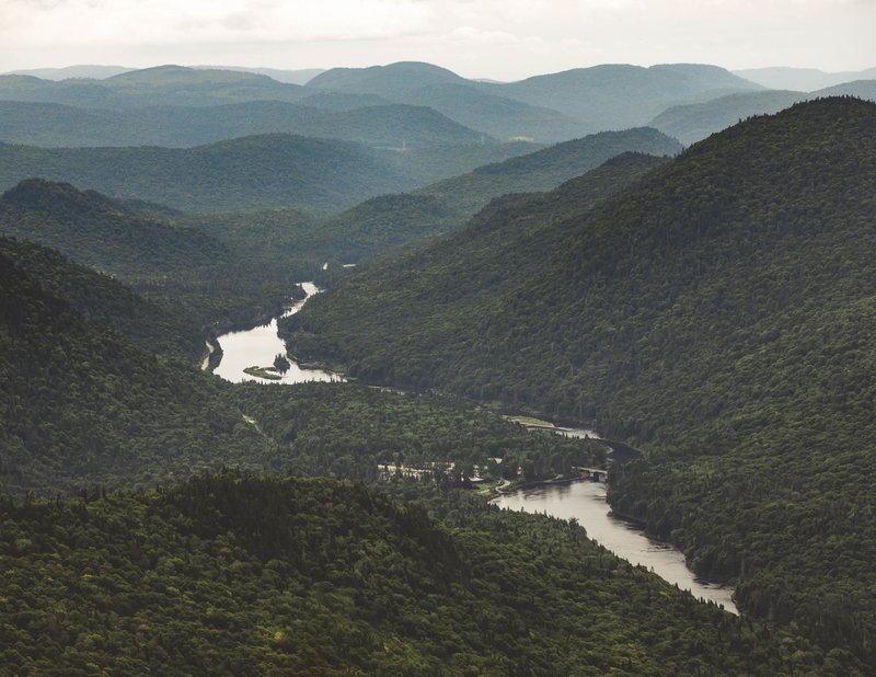 Captivating aerial view of lush forests and winding river in Quebec's rolling hills.