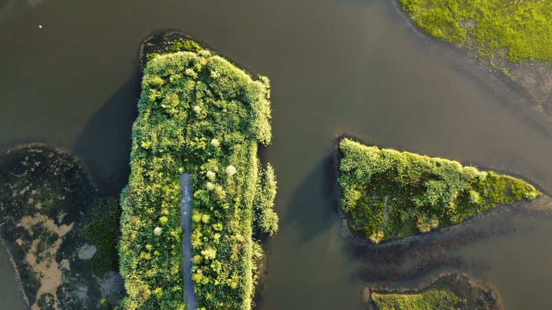 A stunning aerial shot capturing lush green islands surrounded by water in the Netherlands.