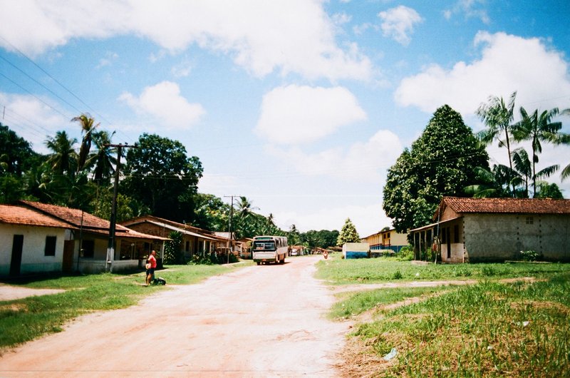 Unpaved roadway with bus in small settlement with poor houses and exotic greenery