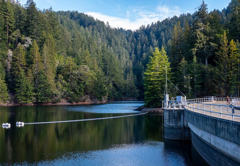 A tranquil view of a lake surrounded by lush pine forests and a dam under a clear blue sky.