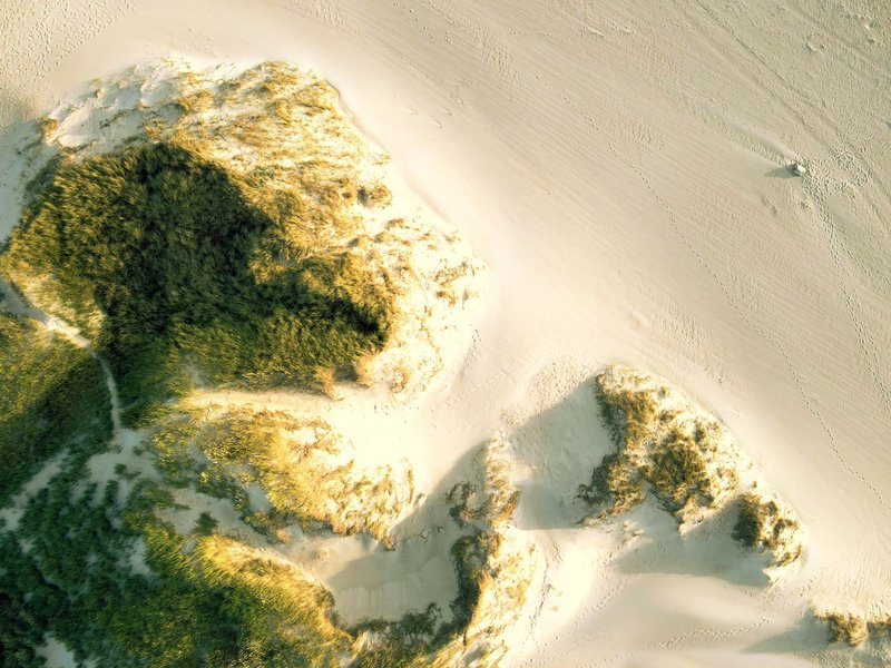 Stunning aerial view of sand dunes and grass in Hvide Sande, Denmark, showcasing natural textures.