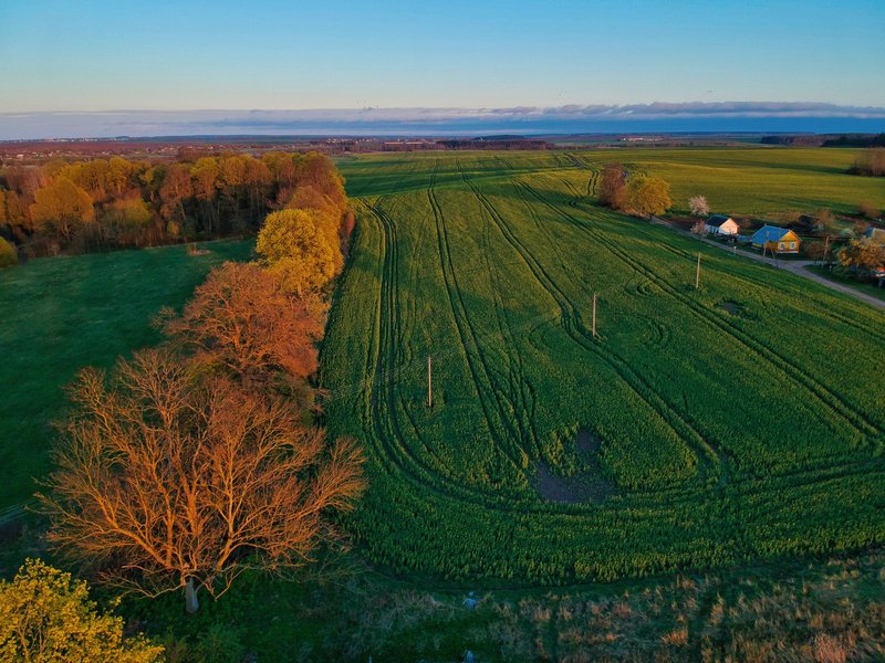 Picturesque drone view of green fields surrounded by lush autumn trees in countryside near blue sea against cloudless sky