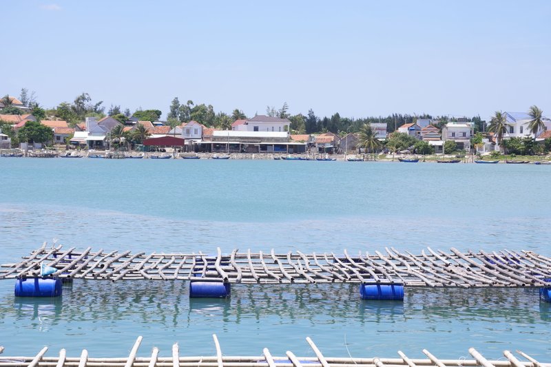 Serene coastal village scene with aquaculture structures floating in calm, clear water.