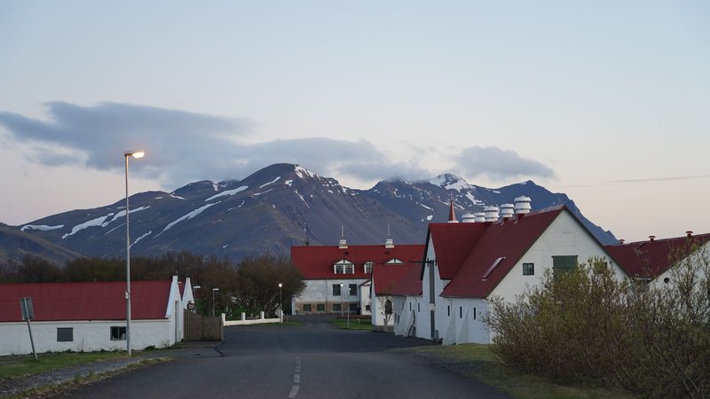 Charming village in Iceland with red-roofed houses and picturesque mountain backdrop at sunset.