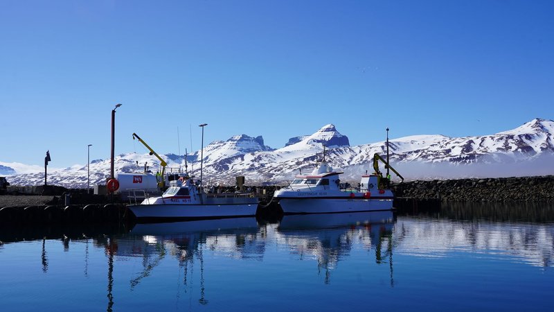 Tranquil harbor scene in Iceland with boats and snow-capped mountains reflecting in the water.