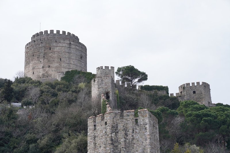 A medieval stone fortress surrounded by lush greenery, showcasing historical architecture amidst nature.
