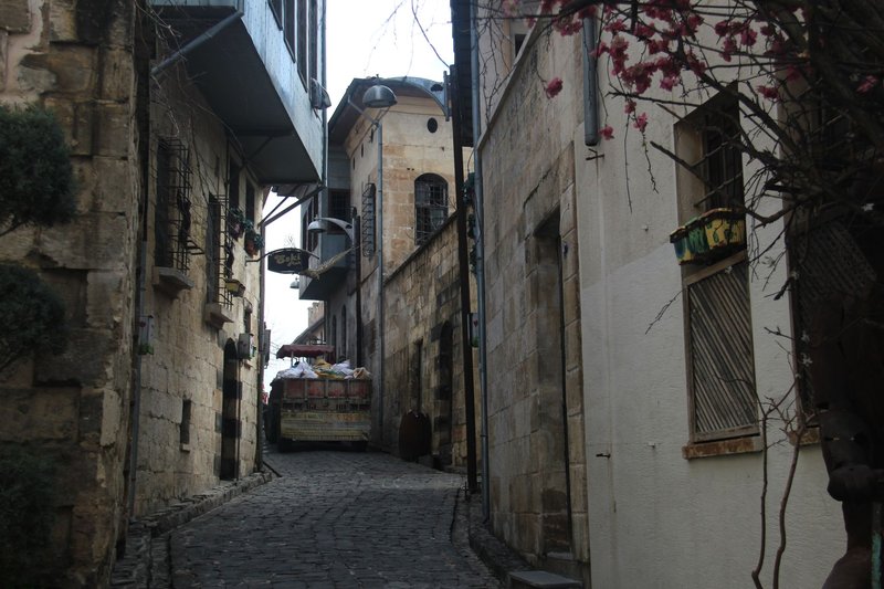 A narrow cobblestone alley with ancient stone buildings and blooming trees in a historical quarter.