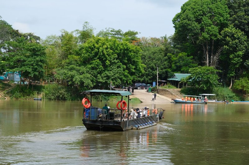 Peaceful river scene featuring a passenger ferry and lush green surroundings.