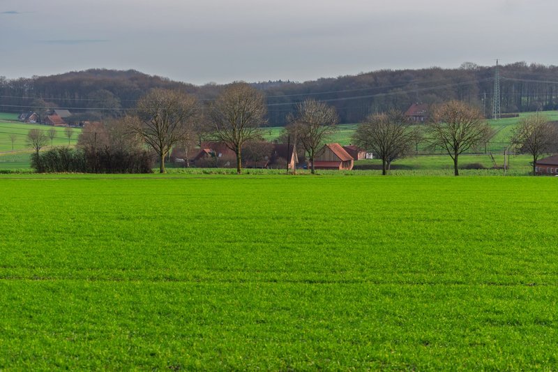Idyllic rural landscape featuring lush green fields and traditional farmhouses.