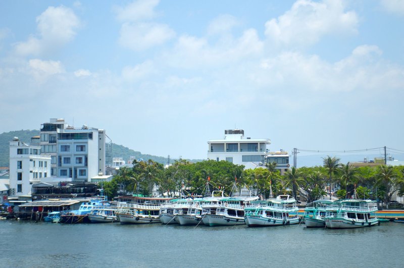 Docked boats at a tropical harbor with palm trees and clear blue sky, ideal travel scene.