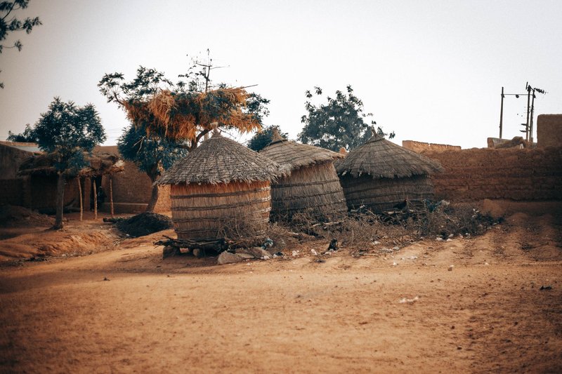 Authentic traditional African thatched huts in a rural landscape, surrounded by sparse vegetation.