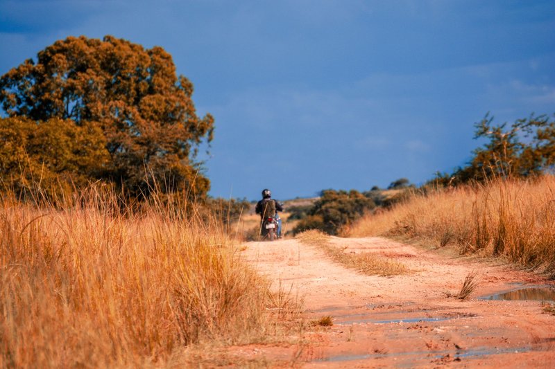 A lone motorcyclist rides along a scenic dirt road amidst tall grass in rural Zimbabwe.