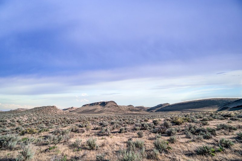 Magnificent view of random vegetation growing on dry terrain near hills in savanna against cloudy sky in nature in summer