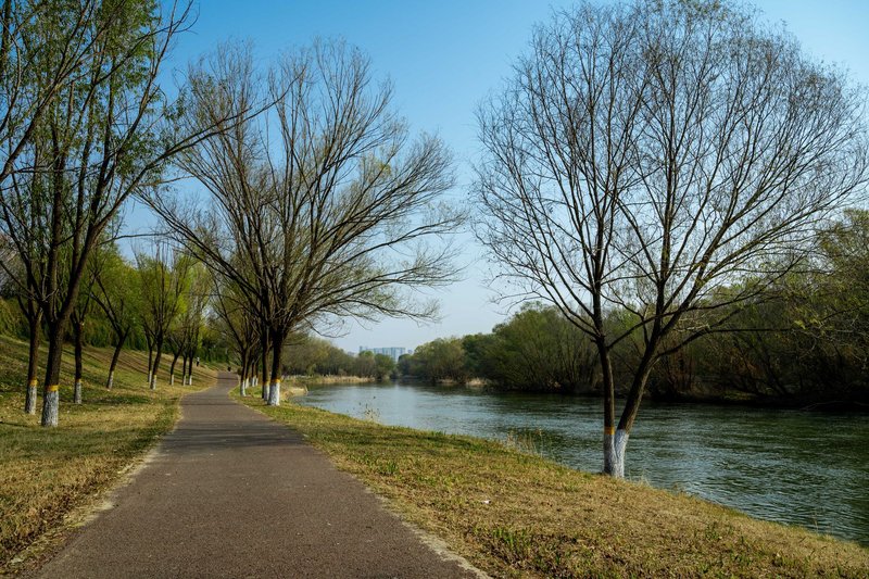 Scenic path alongside a calm river under clear blue sky, bordered by trees showing first spring growth.