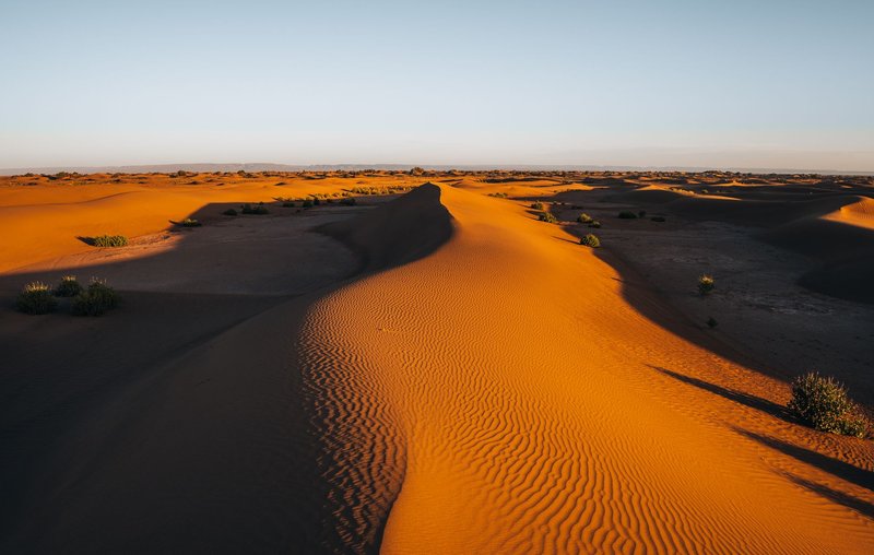 Sunlit sand dunes in the Moroccan Sahara casting long shadows at dusk.