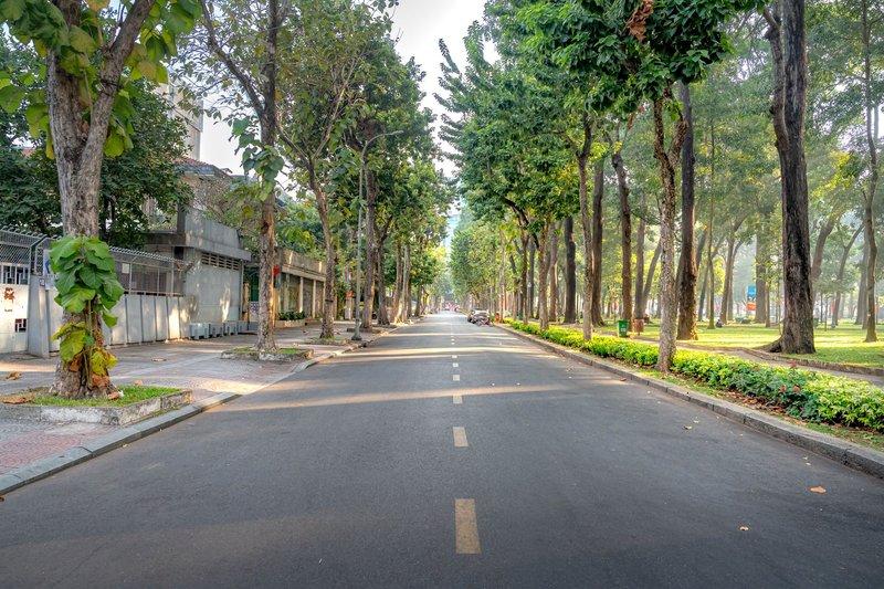 A peaceful city street lined with tall trees and greenery, showcasing urban life harmony with nature.