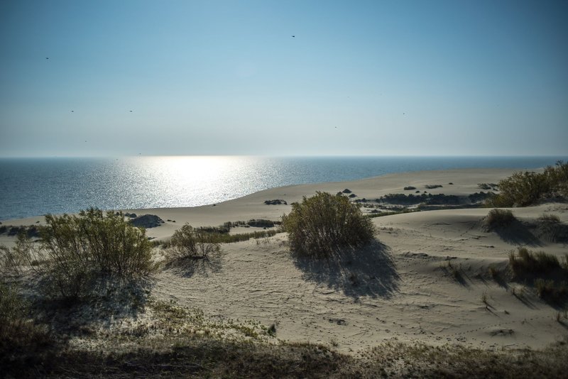 Tranquil view of sand dunes and ocean horizon in Kaliningrad Oblast, Russia.