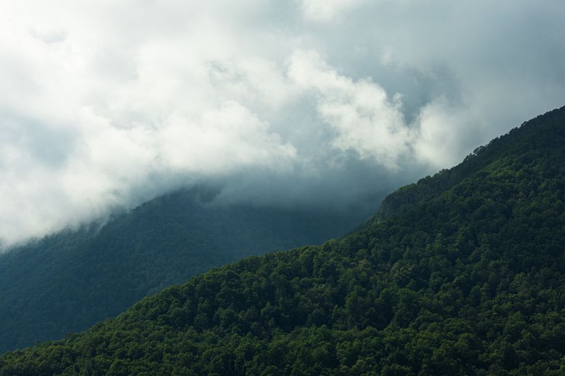A serene view of lush green forested mountains under dramatic cloud cover.