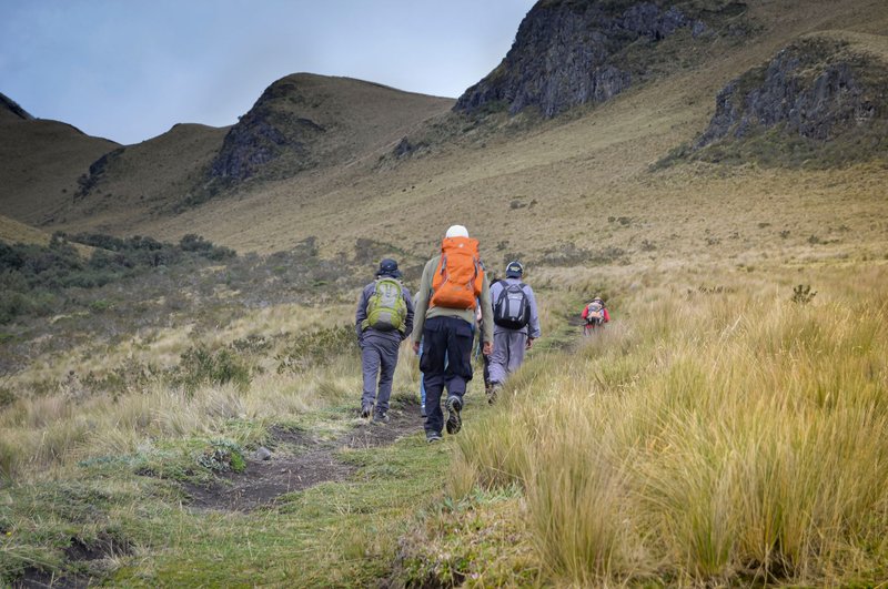 A group of hikers trekking through scenic mountain landscapes, enjoying nature.
