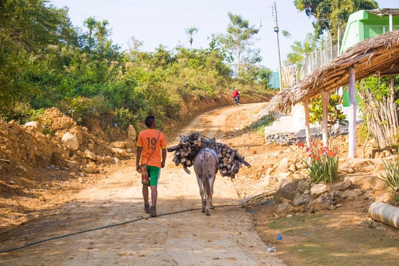A rural scene showing a man walking uphill with a donkey carrying firewood on a dirt road.