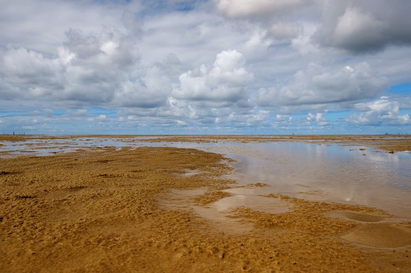 Expansive sandy beach at low tide under a dramatic cloudy sky, showcasing nature's beauty.