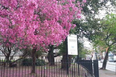 Bernardino Rivadavia Museum of Natural Science in Buenos Aires, Argentina – Museum Information gallery image
