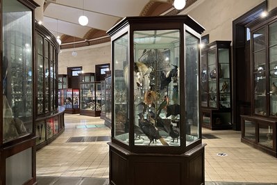 Museo de La Plata in La Plata, Argentina – Museum Information gallery image