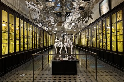 Museo de La Plata in La Plata, Argentina – Museum Information gallery image