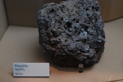 Museo de La Plata in La Plata, Argentina – Museum Information gallery image