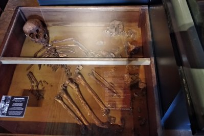 Museo de la Trinidad in Cordoba, Argentina – Museum Information gallery image