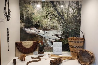 Museum of Anthropology and Natural Sciences in Concordia, Argentina – Museum Information gallery image