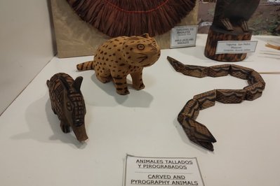 Museum of Anthropology and Natural Sciences in Concordia, Argentina – Museum Information gallery image