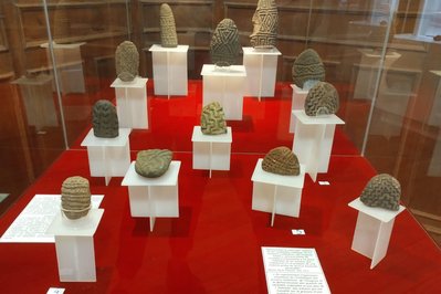Museum of Anthropology and Natural Sciences in Concordia, Argentina – Museum Information gallery image