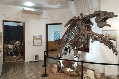 Museum of Anthropology and Natural Sciences in Concordia, Argentina – Museum Information gallery image